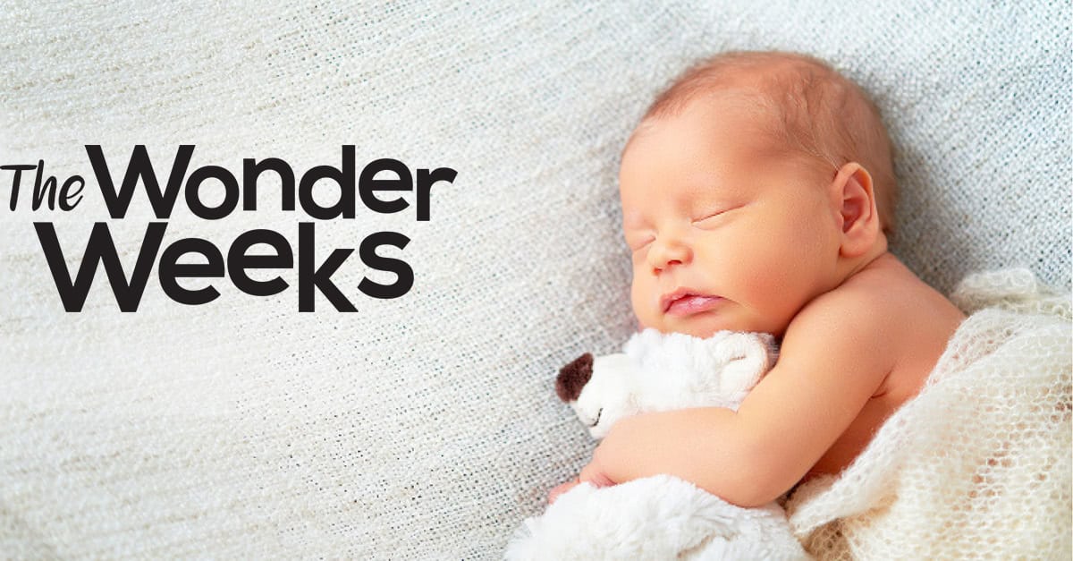 www.thewonderweeks.com