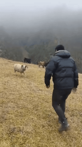 GradsNDads0503.gif