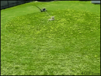 lawn-circle.gif