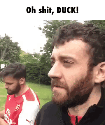 q2-2017-shirk-2.gif