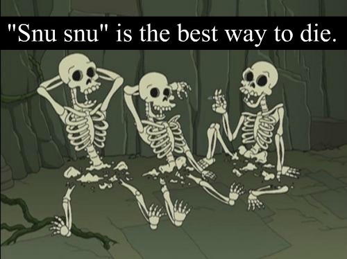 tumblr_ls75riWIbR1r3ljx3o1_500.jpg