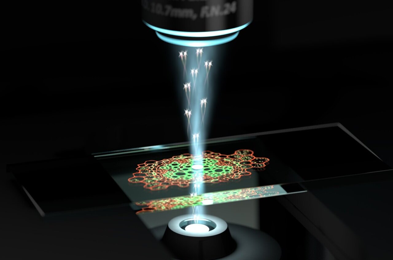 phys.org