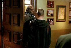 tumblr_ms4c004gwh1qdrcyyo1_250.gif