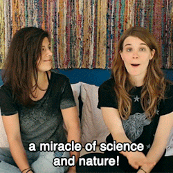 tumblr_o4k424Wdqk1qbg1lxo2_250.gif