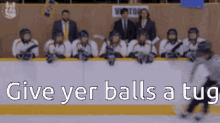 tenor.gif