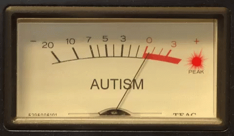 Meter Autism GIF - Meter Autism Peak - Discover & Share GIFs