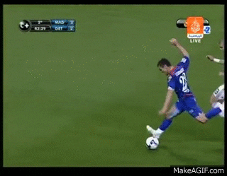 giphy.gif