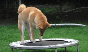 200.gif