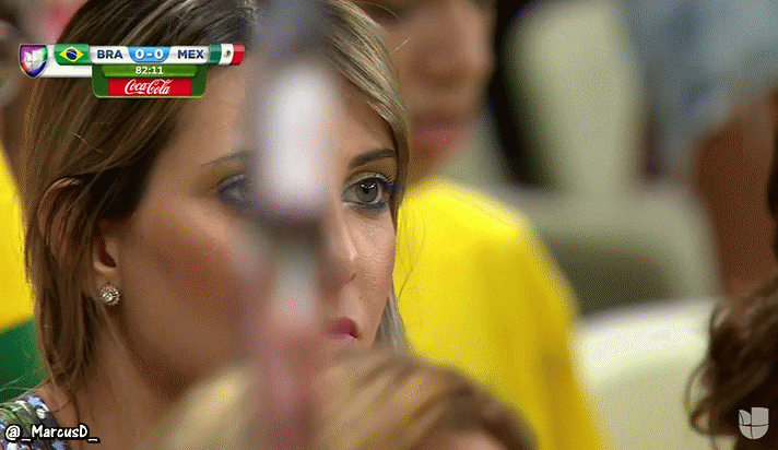 fan2.gif