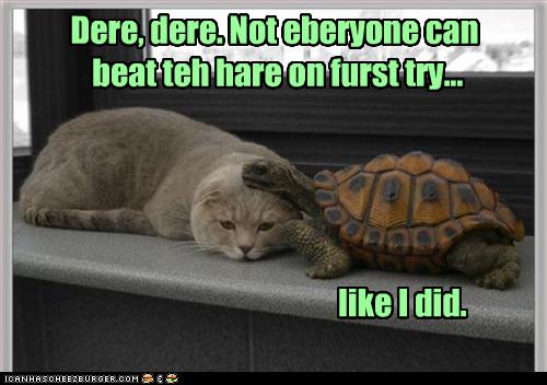 funny-pictures-cat-did-not-beat-hare.jpg