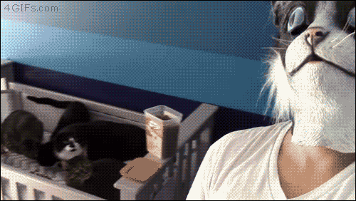 983.gif