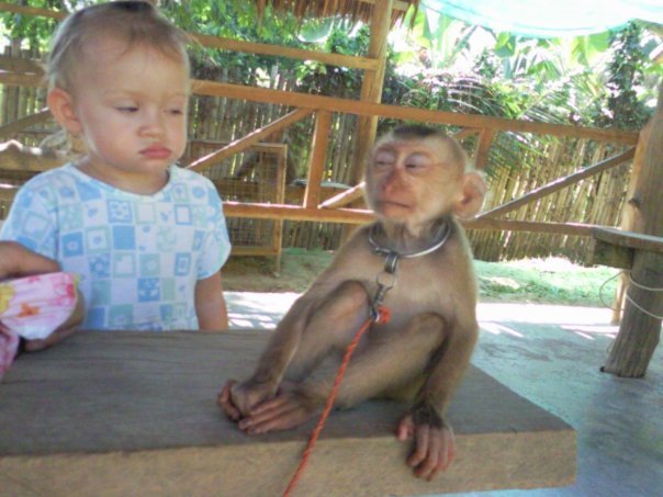 Little girl and a monkey, they dont trust each other ...