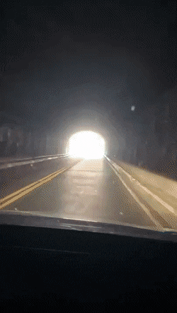 hot-shirk-summer-34.gif