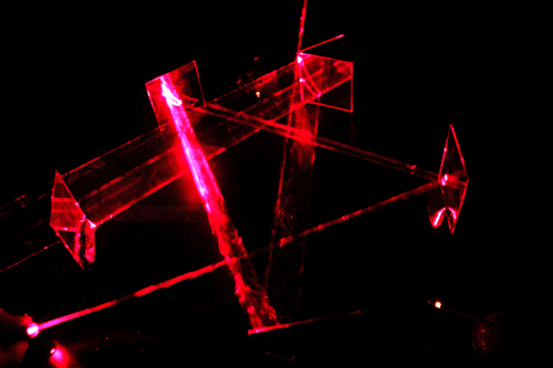 tumblr_mtdwk9D0eG1rafwedo1_500.gif