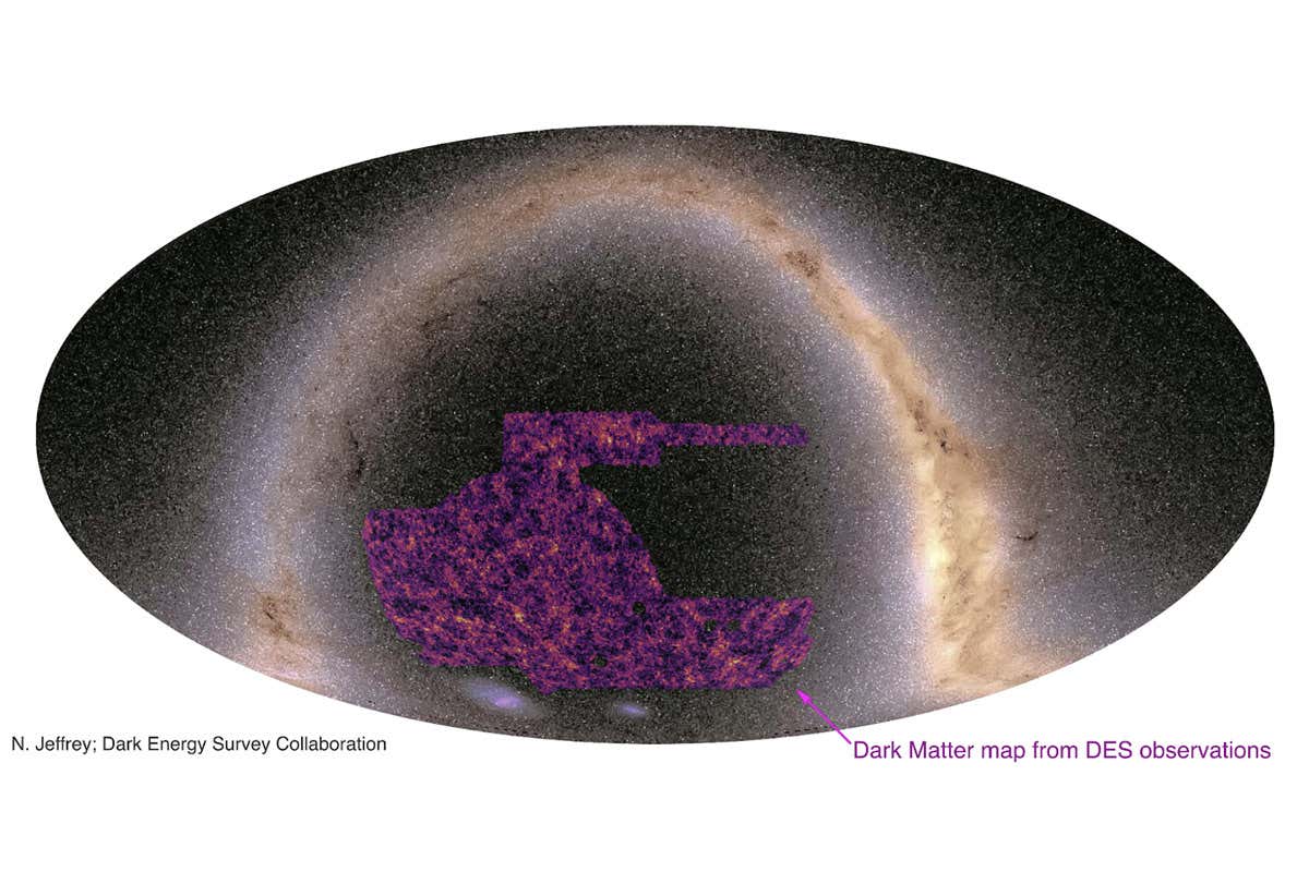 www.newscientist.com