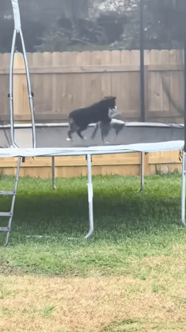Ramadan6193.gif