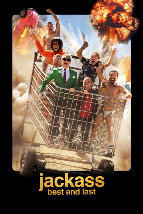 www.themoviedb.org