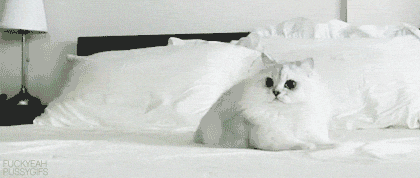 tumblr_lspll3bagS1r3nbyqo1_500.gif