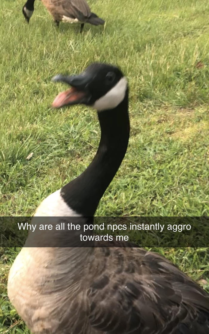 aB2MyeP_700b.jpg