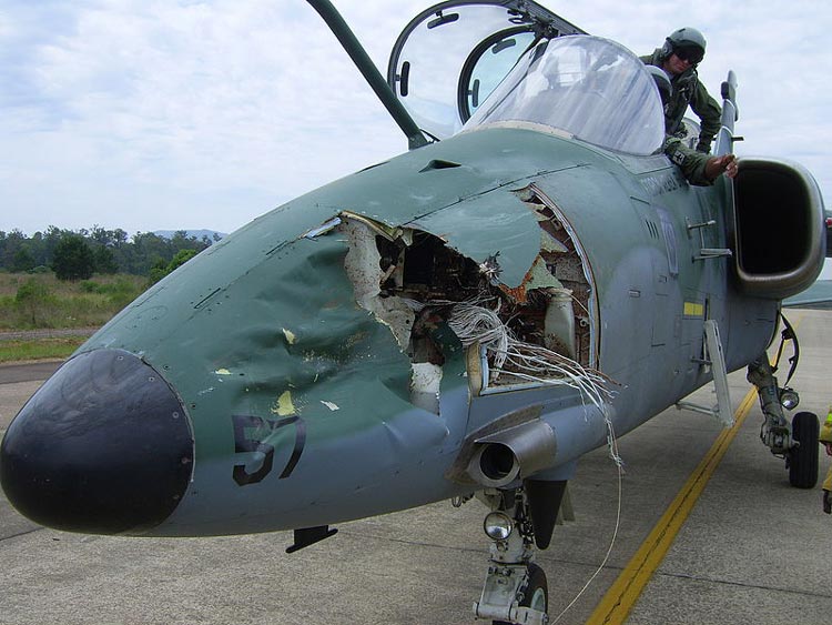 fighter_plane_after_bird_strike.jpg