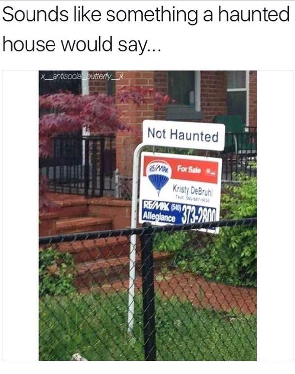 wdlbzpj0b4iz.jpg