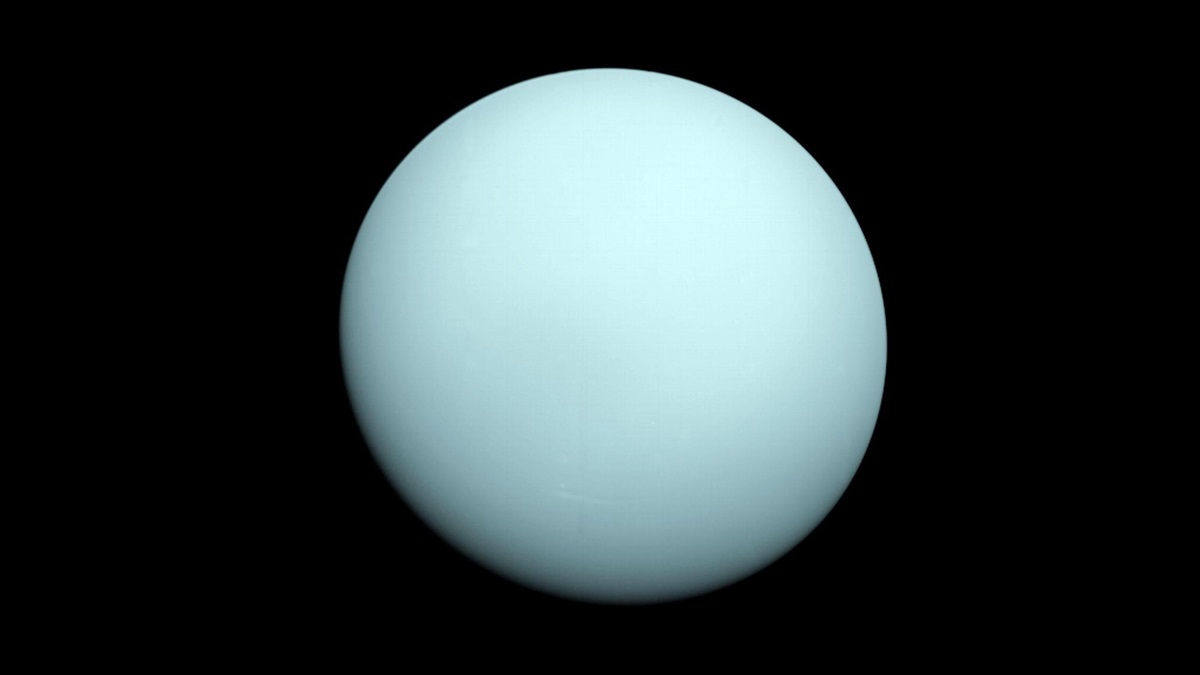 cosmosmagazine.com