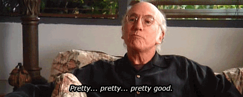 curbyourrnthusiasm.gif