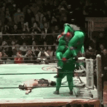 tmnt-tmnt-wrestling.gif
