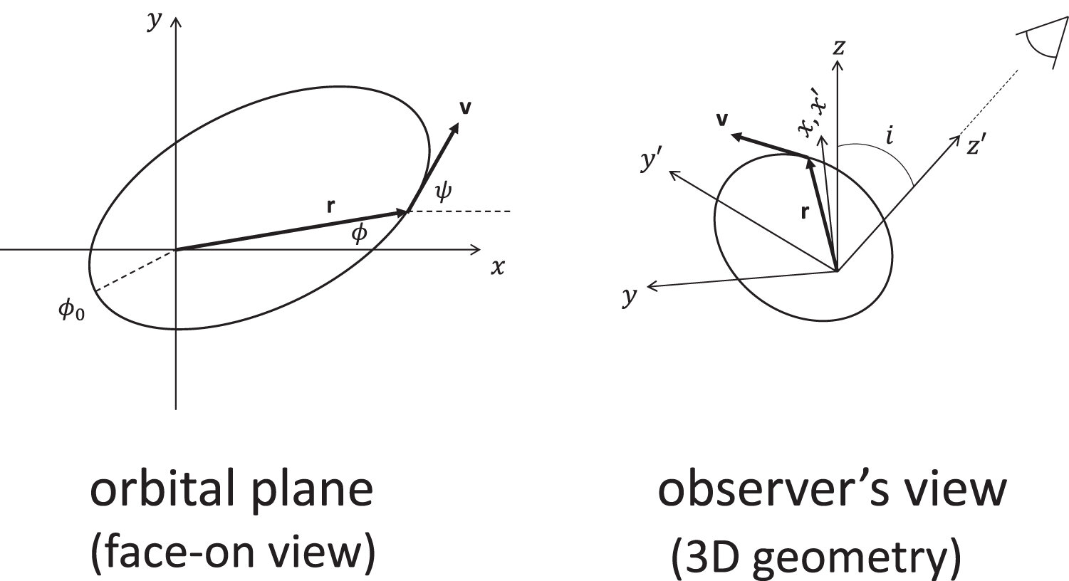 phys.org