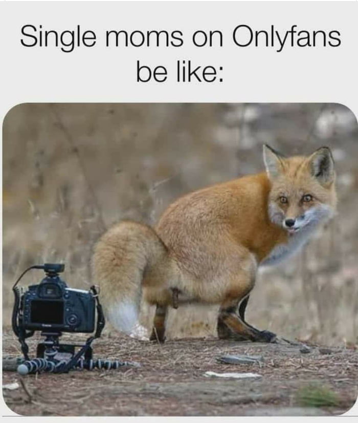 agA9woq_700b.jpg
