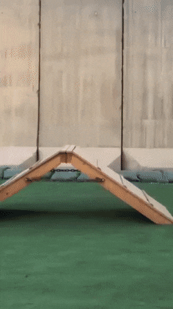 covitine-25.gif