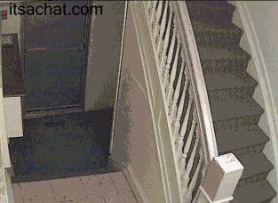 funny-fat-drunk-girl-falling-down-stairs-banister-animated-gif.gif