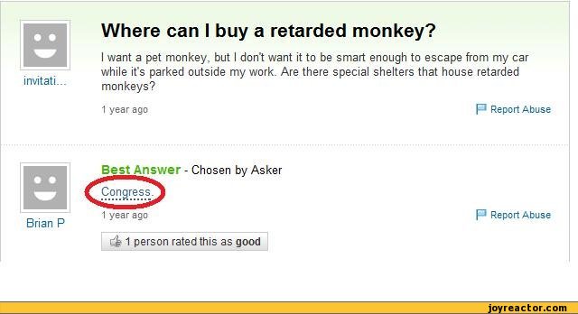 funny-pictures-auto-q%26a-monkey-389514.jpeg