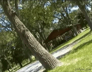funny-animated-gifs-part-2_5.gif