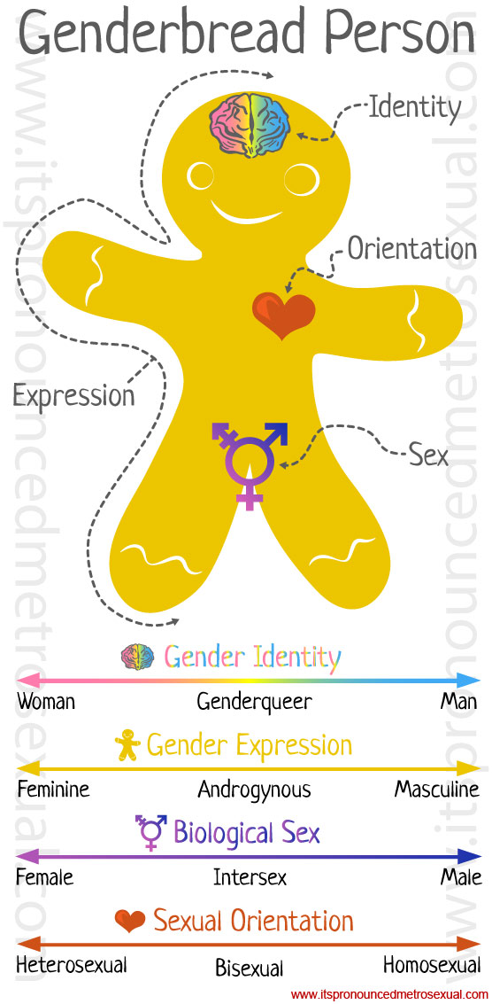 genderbread-person-gender-identity-graphic.jpg