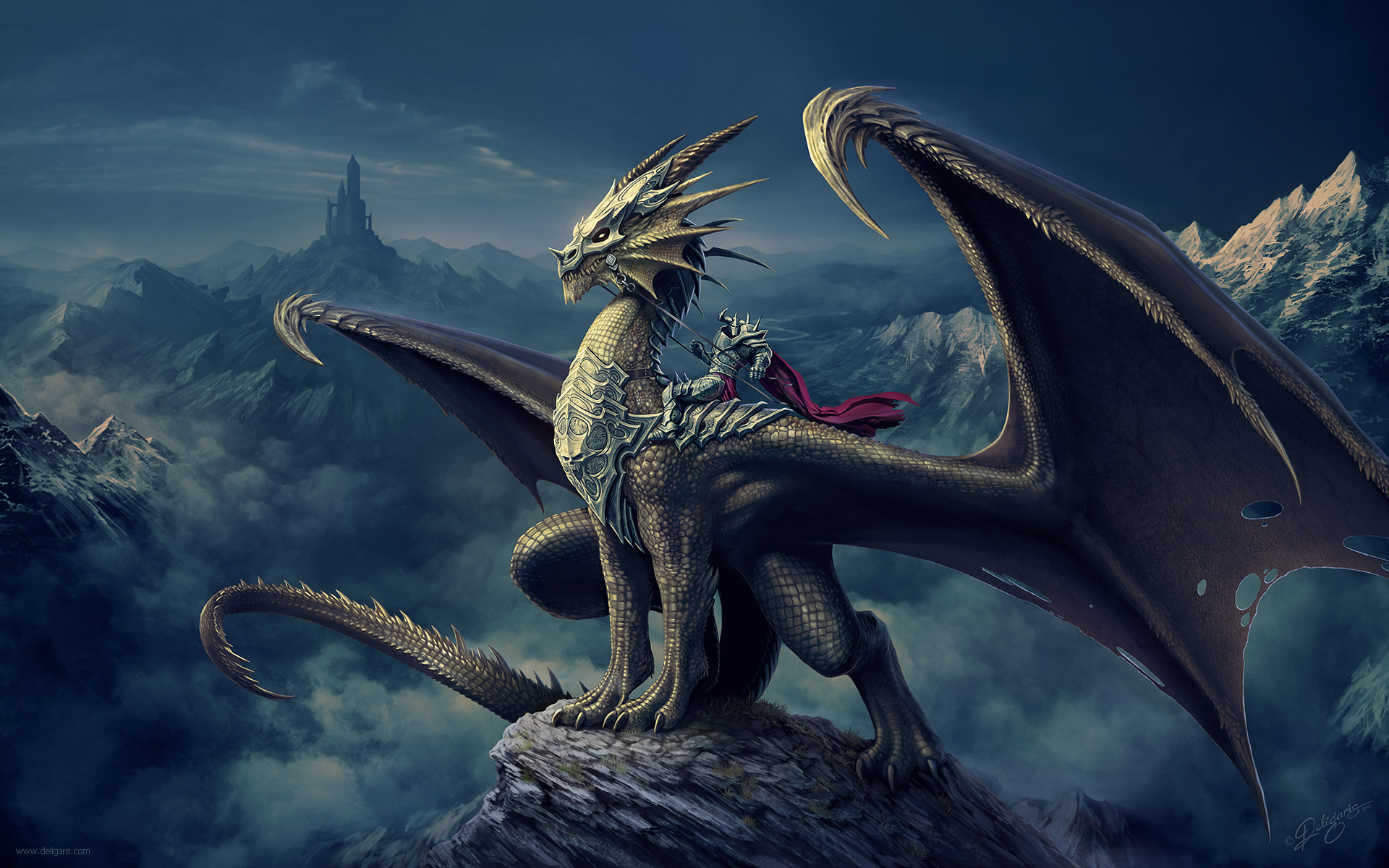 dragon_rider_by_deligaris-d65o1mf.jpg