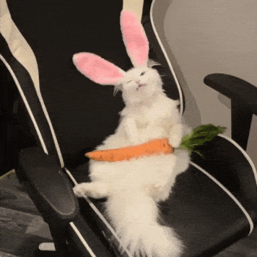 the-easter-bunny-cat.gif