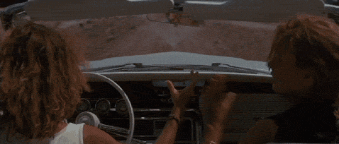 thelma-and-louise-end.gif