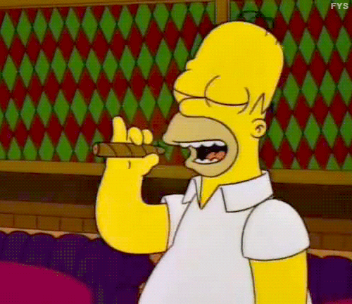 Homer-Smoking-Burning-Money.gif