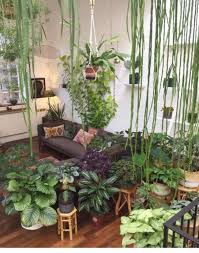 Image result for amazing house plants