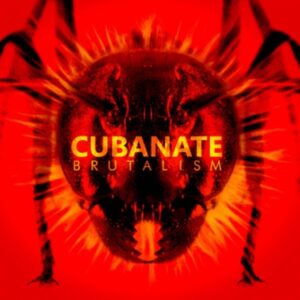 cubanate-brutalism-300x300.jpg