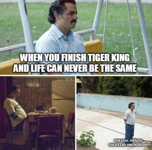 tiger-king-meme-16.jpg