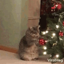 kitty-claws-christmas-tree-cat-playing-with-christmas-tree.gif