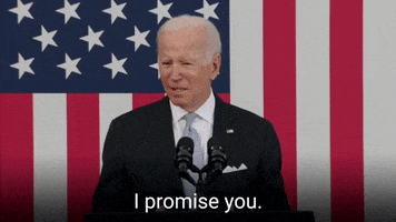 I Promise Joe Biden GIF by The Democrats