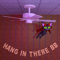 Hang In There Cat GIF by jjjjjohn