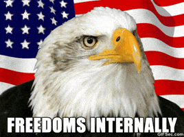 Independence Day Usa GIF Independence Day Usa GIF