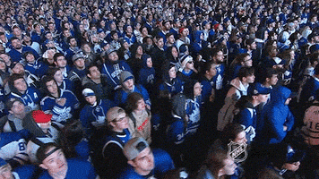toronto maple leafs crowd GIF by NHL