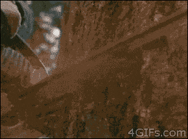 chuck norris no GIF chuck norris no GIF