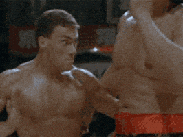 jean claude van damme fighting GIF jean claude van damme fighting GIF