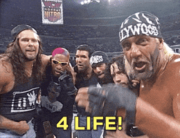 Chicago Bulls Wrestling GIF by WWE Chicago Bulls Wrestling GIF by WWE
